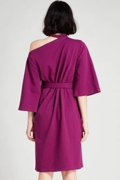 STORETS SALE Ellen Choker Neck Belted Dress