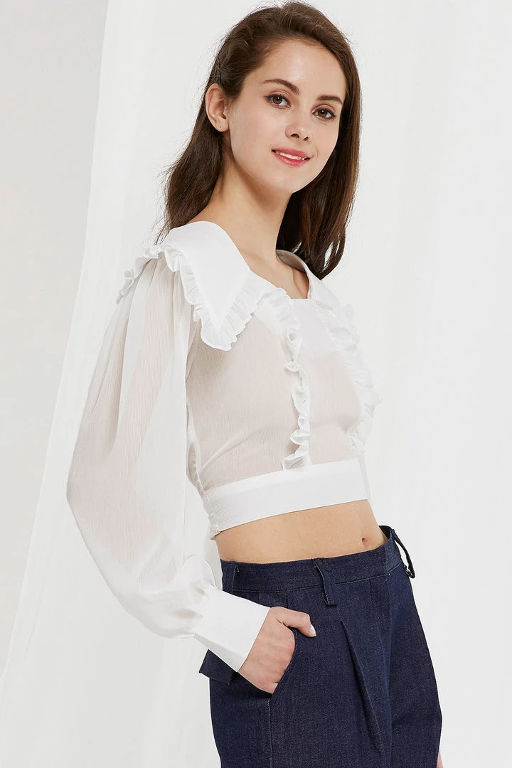 STORETS SALE Echo Puritan Collar Crop Blouse CLOTHING