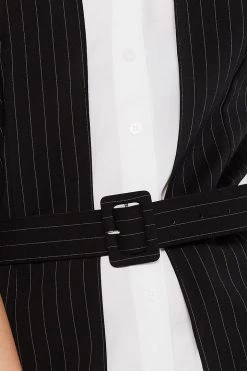 STORETS Olivia Pinstripe Block Shirt Dress