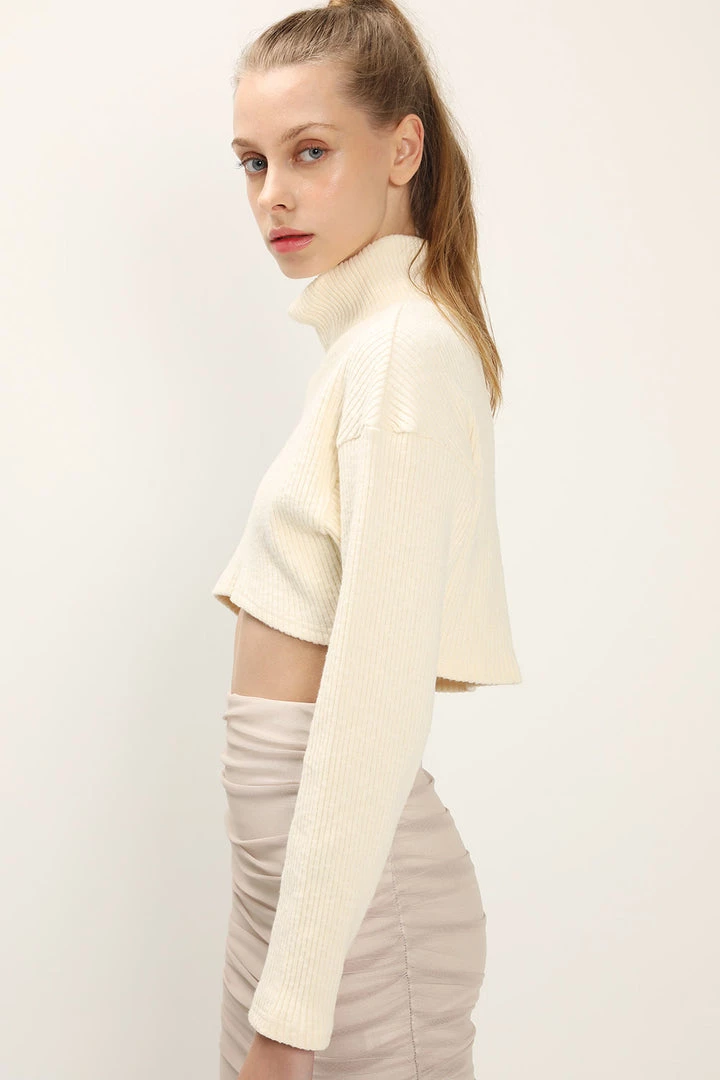 STORETS SALE CLOTHING Peyton High Neck Crop Top