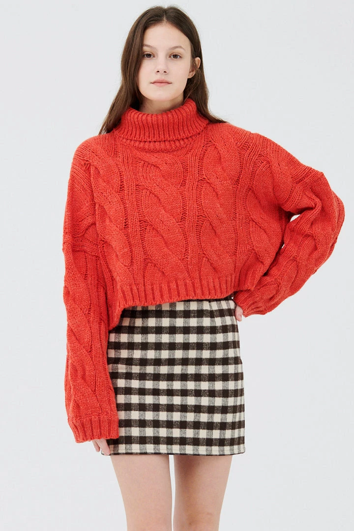 STORETS Palo Turtle Neck Cropped Sweater