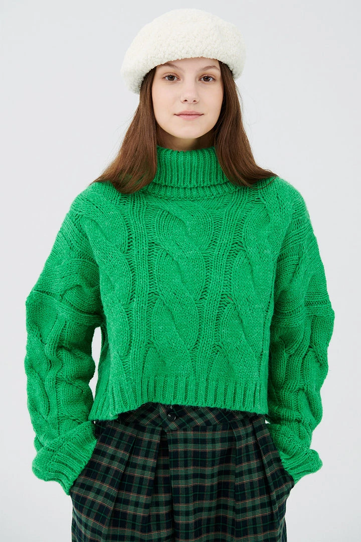 STORETS CLOTHING Palo Turtle Neck Cropped Sweater