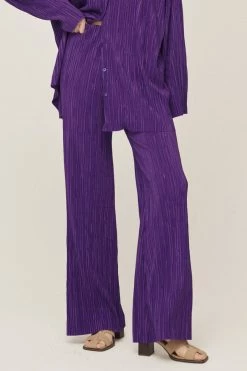 STORETS WHAT'S NEW Maria Flared Leg Plisse Pants