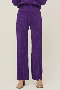 STORETS Maria Flared Leg Plisse Pants WHAT'S NEW