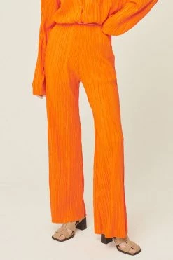 STORETS WHAT'S NEW Maria Flared Leg Plisse Pants