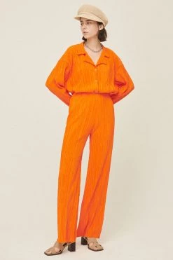 STORETS Maria Flared Leg Plisse Pants