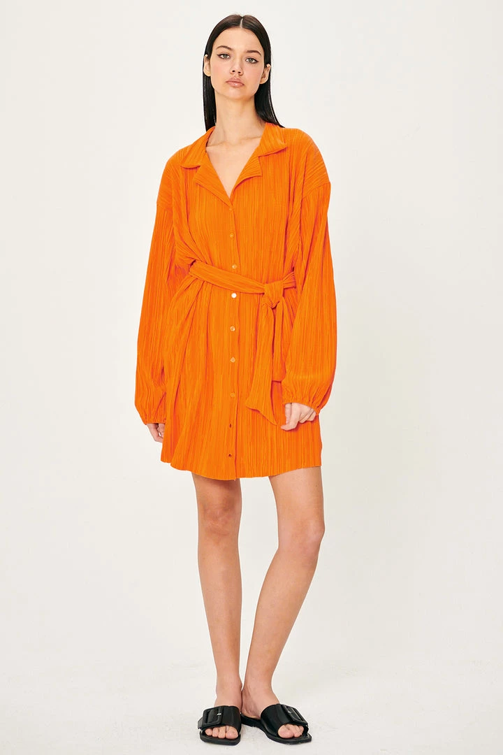 STORETS Sandra Plisse Shirt Dress WHAT'S NEW