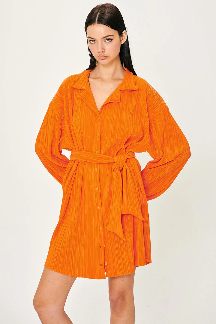 STORETS Sandra Plisse Shirt Dress WHAT'S NEW