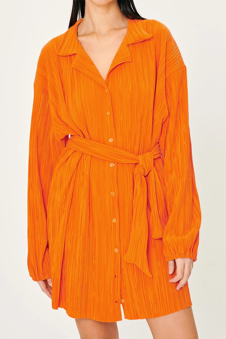 STORETS Sandra Plisse Shirt Dress WHAT'S NEW