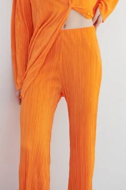 STORETS WHAT'S NEW Maria Flared Leg Plisse Pants