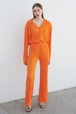 STORETS WHAT'S NEW Maria Flared Leg Plisse Pants