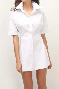 STORETS CLOTHING Samara Pintuck Shirt Dress