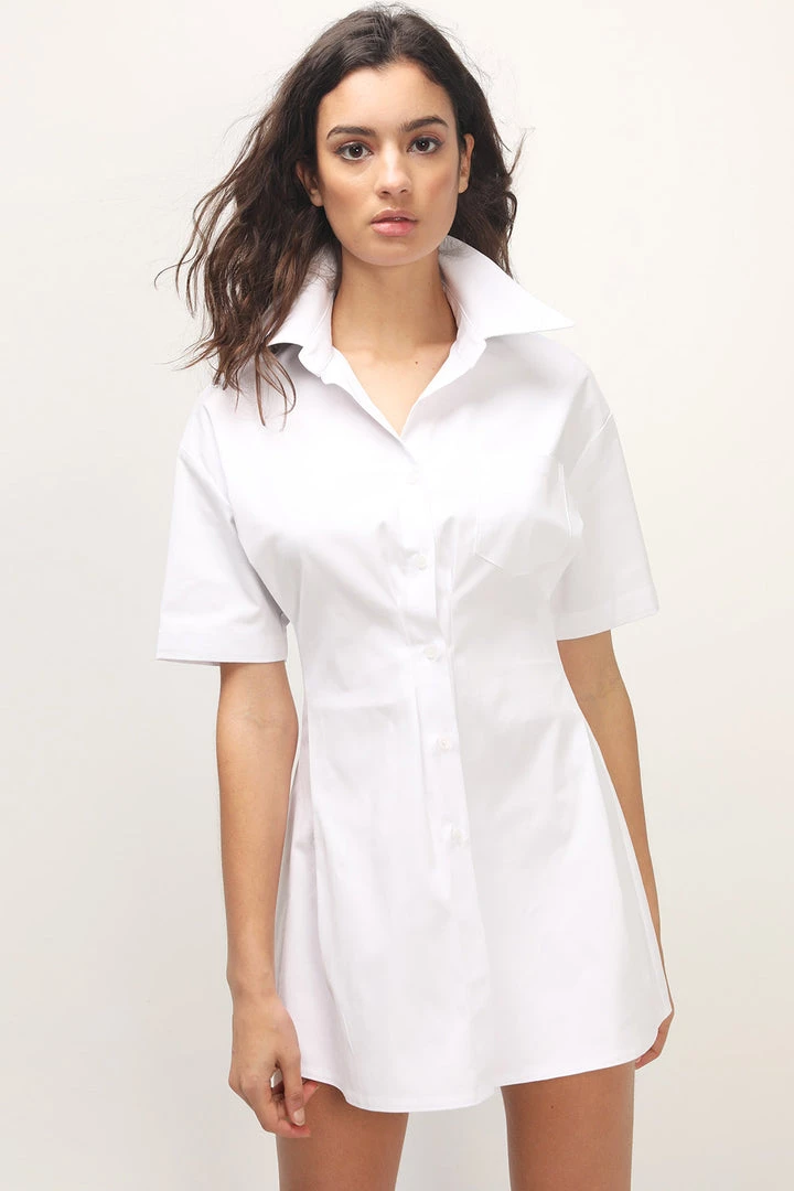 STORETS CLOTHING Samara Pintuck Shirt Dress