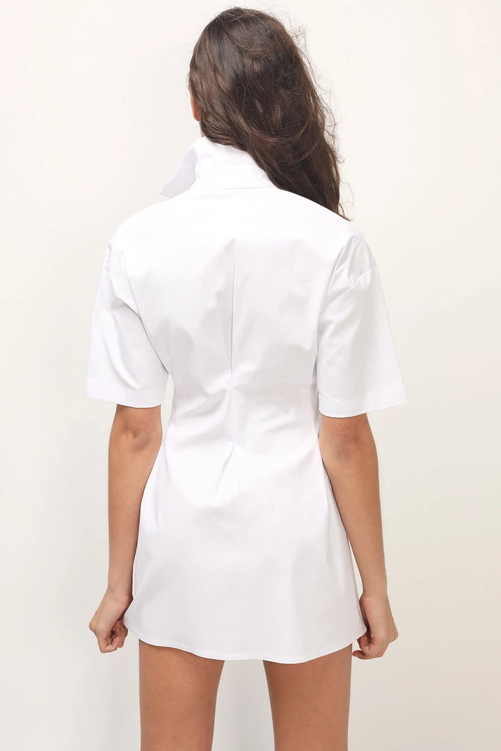 STORETS CLOTHING Samara Pintuck Shirt Dress