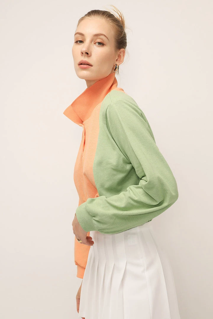 STORETS SALE Hazel Color Block Crop Shirt