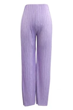 STORETS BEST-SELLERS Maria Flared Leg Plisse Pants