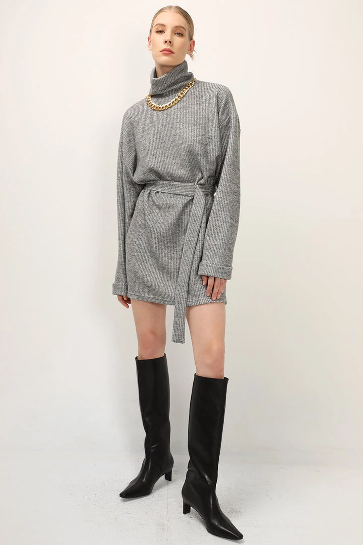 STORETS SALE Madison Turtle Neck Belted Dress