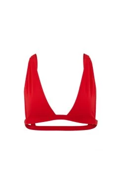 STORETS SALE Robyn Triangle Bikini Top