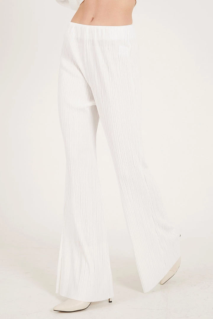 STORETS Maria Flared Leg Plisse Pants WHAT'S NEW