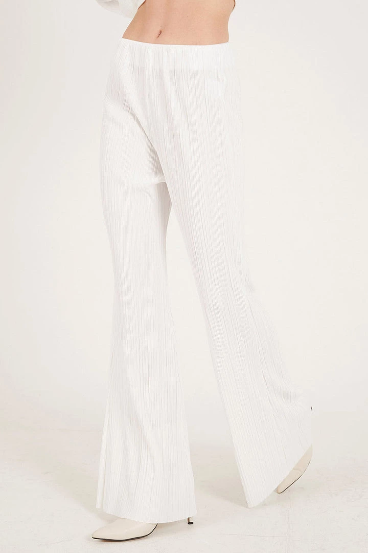 STORETS Maria Flared Leg Plisse Pants WHAT'S NEW